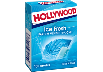 B.20 étuis  HOLLYWOOD S/S Ice Fresh