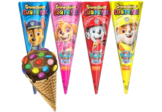 B.12 cornets chocolat PAT PATROUILLE