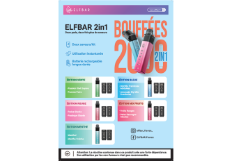 Carte saveurs ELFBAR 2en1 A4