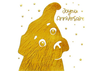Carnet anniversaire CHIEN DORE