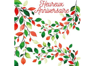 Carnet anniversaire BRANCHE FEUILLE