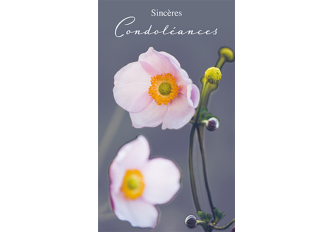 Carnet condoléance MM FLEURS TIGES