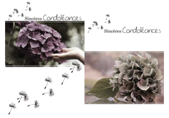 Carnet condoléance GM FLEURS