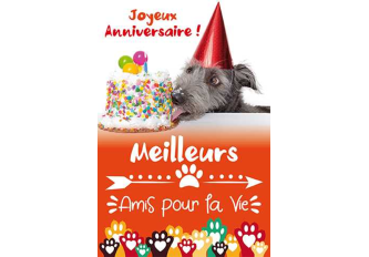 Carnet anniversaire Chien cake