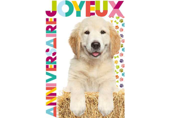 Carnet anniversaire Chien