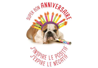 Carnet anniversaire BULLDOG
