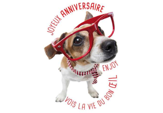 Carnet  anniversaire LUNETTE DOG
