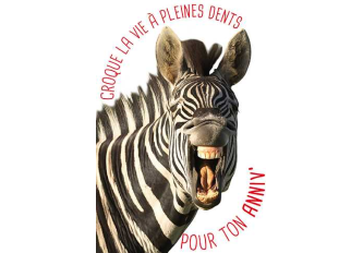 Carnet anniversaire ZEBRE