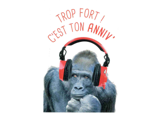 Carnet anniversaire GORILLE