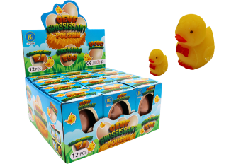 B.12 oeufs de poussins grossissants