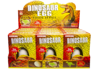 Présentoir 12 oeufs de dinosaure fossile