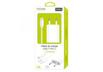 Chargeur secteur + câble Type-C