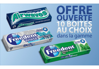 FREEDENT®: Display 30 étuis