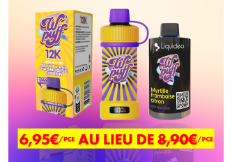 Lot 20 WPUFF 12000 Myrtille Framboise Citron