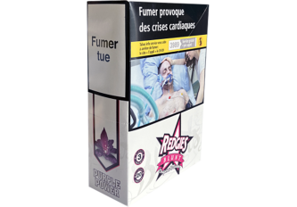 B.20 Blunts 3 feuilles PURPLE POWER