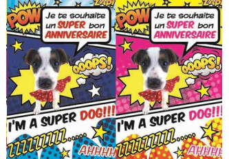 Carnet anniversaire ADO DOG