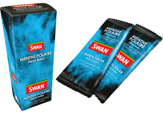 B.25 Cartes SWAN menthe polaire