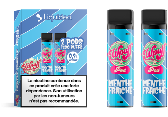 Lot 5 B.2 pods WPUFF Menthe fraîche 9mg